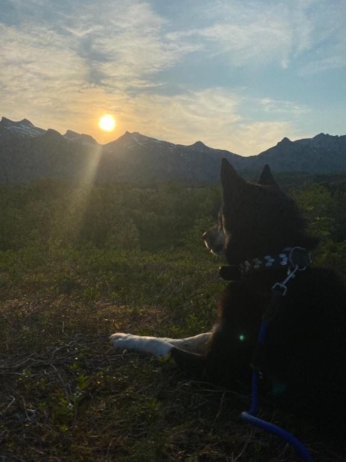 Nydelig Leilighet Pa Kreta I Lofoten Kabelvåg Buitenkant foto
